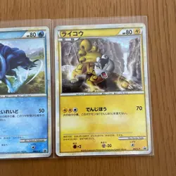Digimon Card Entei Suikun Raikou Color Limited Promo 2010 Japan - Image 4