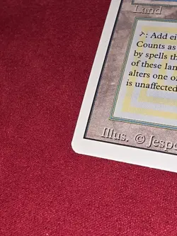 MTG 1994 vintage Tropical Island Card Revised 3rd Edition Dual shock Land - Image 5