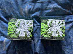 x2 Pokemon Center Elite Trainer Box Mega Evolution Perfect Order ETB - Image 1