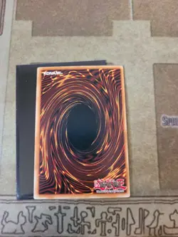 YUGIOH BLACK ROSE DRAGON CT05-EN003 SECRET LIMITED ED NM - Image 3