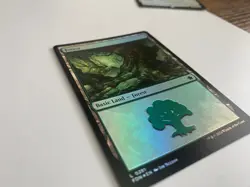 Forest (Foil) 0281 - Foundations - Magic the Gathering (MTG) - Image 3