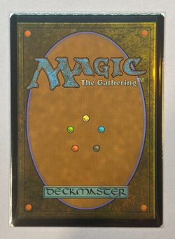 MTG - Innistrad: Crimson Vow - Necroduality - Extended Art - NM - Image 2