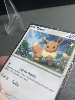 Eevee SVP043 - COSMO HOLO - Blackstar Promo - Pokemon TCG - Image 2
