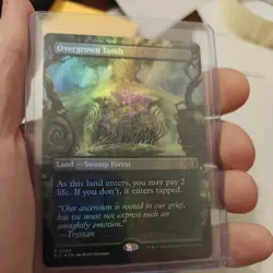 MTG Overgrown Tomb (Borderless) Lorwyn Eclipsed Foil #0350 M/NM - Image 5