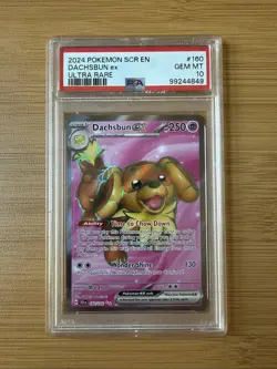 Dachsbun EX 🔥 2024 Pokemon Stellar Crown UR 160/142 🔥 PSA 10 Gem Mint - Image 1