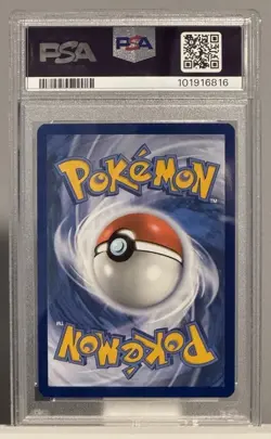 Squirtle 170/165 Illustration Rare - Scarlet & Violet 151 - Pokemon PSA 9 - Image 2