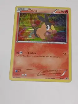 Pokemon Tcg Tepig #BW02 Pokemon Promo - Image 1