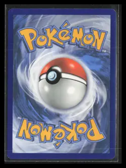#065/202 Pikachu Miscellaneous Cards & Products 🔥 - Image 2