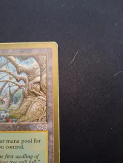 Gaea's Cradle - 1999 Matt Linde (USG) World Championship Decks Regular - Image 3