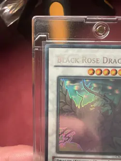 Black Rose Dragon Ghost Rare CSOC-EN039 Unlimited -Near mint- PSA 9-10 Worthy! - Image 5