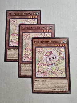 Yugioh! 3x Mulcharmy Meowls L5DD-ENA14 Common 1st Ed NM - Image 1