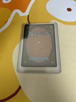 MTG Foil - Spider-Punk (0207) (Borderless) - 207 - Image 2