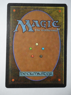 Savannah Lions Revised LP Lightly Played MTG Magic the Gathering - Image 2