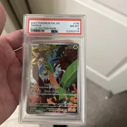 PSA 8 - 2023 Pokemon TCG PAL EN-Paldea Evolved Tropius #195 Illustration Rare - Image 1