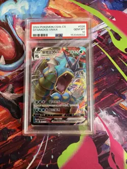 PSA 10 Gyarados Vmax 026/132 SWSH Nine Colors RRR Holo Chinese - Image 1