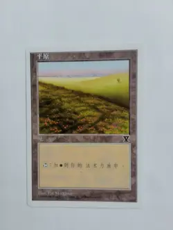 1 x MTG S-Chinese 5E Basic Land Plains (D)---N/M - Image 1