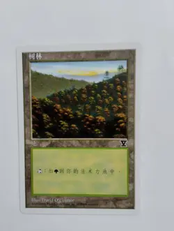 1 x MTG S-Chinese 5E Basic Land Forest (C)---N/M - Image 1