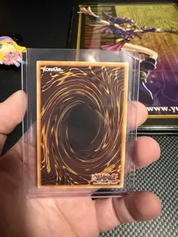 Yu-Gi-Oh! Red-Eyes Dark Dragoon Fusion Effect 1st Ed Holo RA05-EN141 - NM OF - Image 2