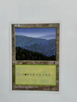 1 x MTG S-Chinese 5E Basic Land Forest (B)---N/M - Image 1