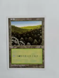 1 x MTG S-Chinese 5E Basic Land Forest (A)---N/M - Image 1