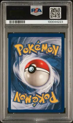 PSA 8 NM-MINT Pokemon TCG Squirtle 063/102 Base Set Vintage WOTC Slab - Image 2