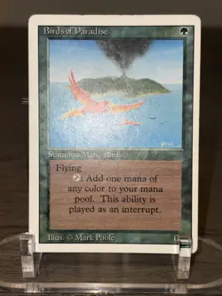 MTG Magic Birds of Paradise Revised LP (C) - Image 2