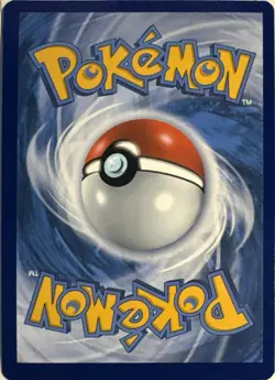 Rowlet SWSH220 Promo Sword & Shield Promo Pokemon Holo Near Mint - Image 2