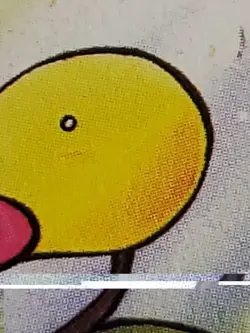 Pokemon TCG: Bellsprout 49/64 Jungle 1st Edition WOTC - MP - Image 4