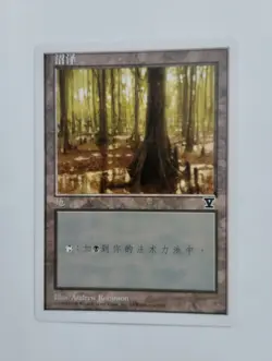 1 x MTG S-Chinese 5E Basic Land Swamp (B)---N/M - Image 1
