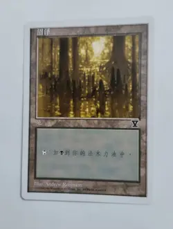 1 x MTG S-Chinese 5E Basic Land Swamp (B)---N/M - Image 1