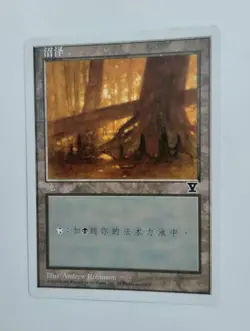 1 x MTG S-Chinese 5E Basic Land Swamp (A)---N/M - Image 1