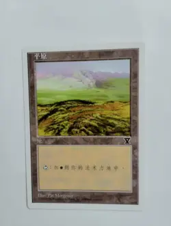1 x MTG S-Chinese 5E Basic Land Plains (A)---N/M - Image 1