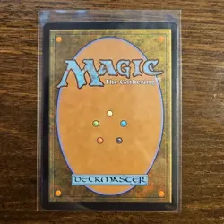 Hedge Maze 0262 Reg Rare Land MTG Murders at Karlov Manor NM - Image 2