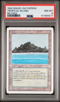 Tropical Island Revised PSA 8 NM Graded | MTG Magic the Gathering - Image 1