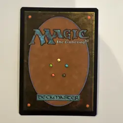 Herugrim Sword Of Rohan Sword of Hearth And Home Borderless Foil 0354 MTG LOTR - Image 2