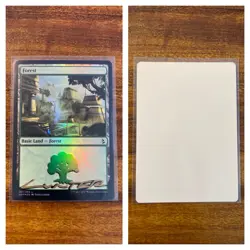 MTG✨Shadow Signed FOREST Artist Proof FOIL✨Amonkhet MINT Land Titus Lunter Art - Image 1