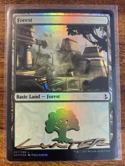 MTG✨Shadow Signed FOREST Artist Proof FOIL✨Amonkhet MINT Land Titus Lunter Art - Image 2