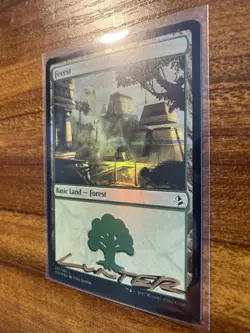 MTG✨Shadow Signed FOREST Artist Proof FOIL✨Amonkhet MINT Land Titus Lunter Art - Image 5