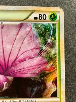 Pokemon card Venomoth 002/040 2010 Pokemon TCG Japanese Holo Rare Nintendo - Image 3