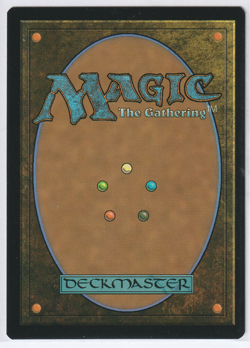 Commander's Plate 0135 Promo Borderless Foil TMNT Magic: The Gathering Promo NM - Image 2
