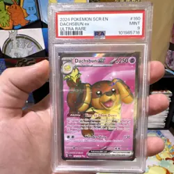 Pokemon TCG Dachsbun ex 160/142 Sv07 Stellar Crown Ultra Rare Holo PSA 9 - Image 1