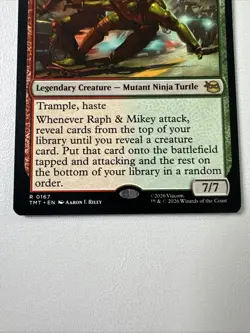 Raph & Mikey, Troublemakers Teenage Mutant Ninja Turtles Regular - Image 4