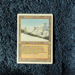 TAIGA dual land Revised Edition Magic the Gathering Unplayed Near Mint-Mint - Image 4