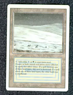TUNDRA dual land Revised Edition Magic the Gathering Unplayed Near Mint-Mint - Image 1