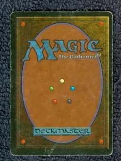 SAVANNAH rare REVISED EDITION Magic the Gathering MP - Image 3