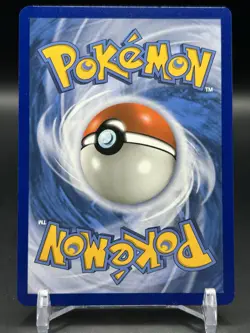 2019 Pokemon Eevee SM235 Sun & Moon Promo Holo NM - Image 2