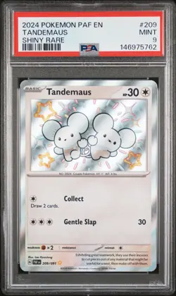 2024 POKEMON PAF EN-PALDEAN FATES SHINY RARE #209 TANDEMAUS PSA 9 - Image 1