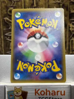 Pokemon Poncho-wearing Pikachu - 203/XY-P Xy Promos Holo (Japanese) -EX - Image 2