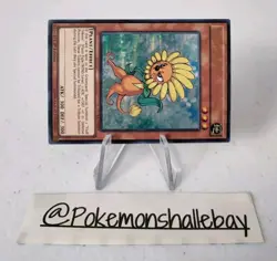 Dandylion DUSA-EN059 *NM* 1st Edition Ultra Rare Yugioh Card - Image 2