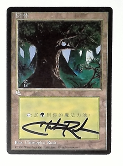 1x V1184: Forest: HP: 1996: Chinese: Signed/Autographed: Christopher Rush: Blac - Image 1